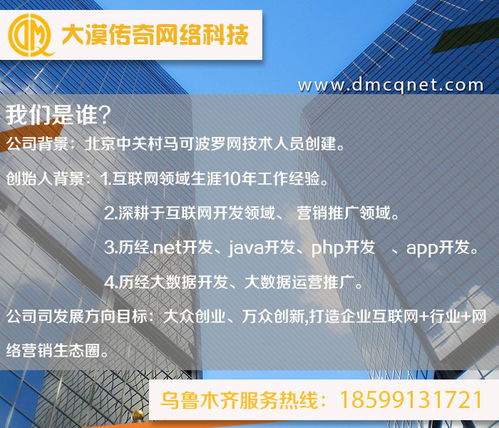 阿克蘇與烏魯木齊軟件開發(fā)及運(yùn)行維護(hù)服務(wù) 技術(shù)賦能新疆?dāng)?shù)字化發(fā)展